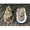 Canadian Choice Oyster - 25 count